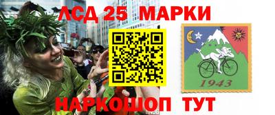 индика Лесосибирск