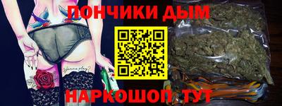 индика Лесосибирск