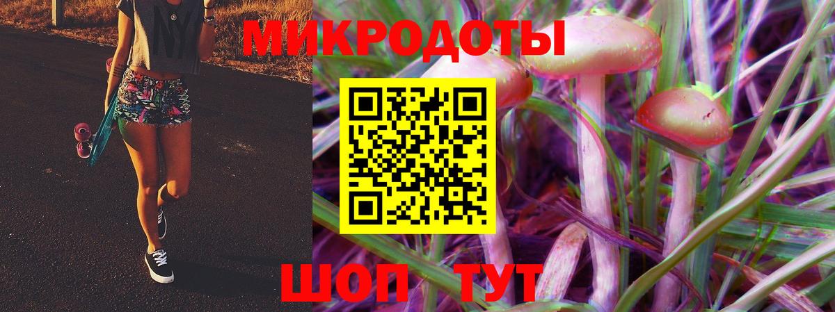 Аксай  Псилоцибиновые грибы Psilocybine cubensis  Вход с VPN  Псилоцибиновые грибы GOLDEN TEACHER 